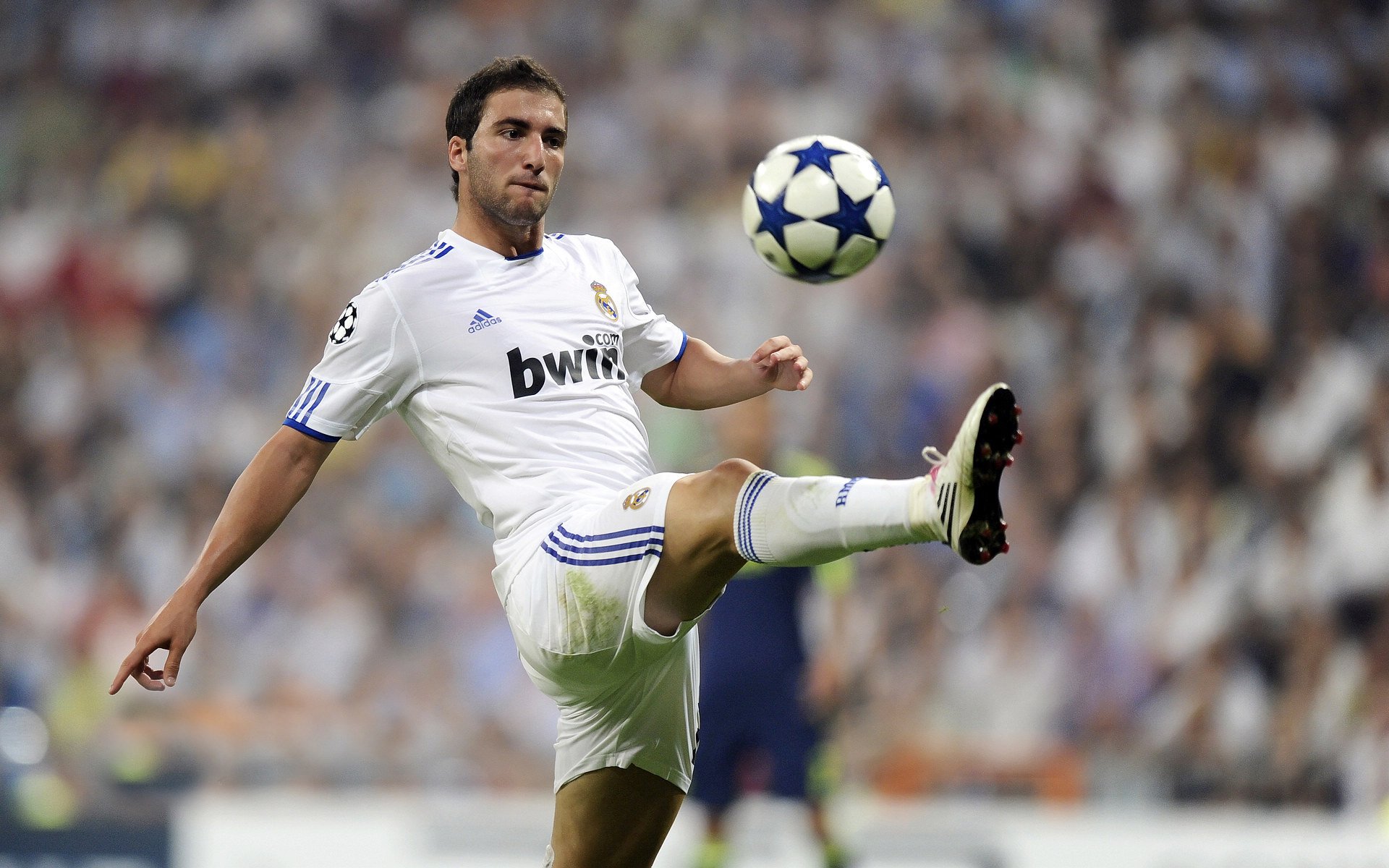 从5500万天才到重伤陨落,26岁扎尼奥洛9场4球迎重生,扎尼奥洛怎么样