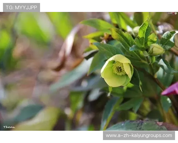 ¦ó+Í+--¦Âó¦¦++Á--¢¦-ú¦+ÀÍÌÎÒÃ=Á-+½ð-i¦¦+_-Ù